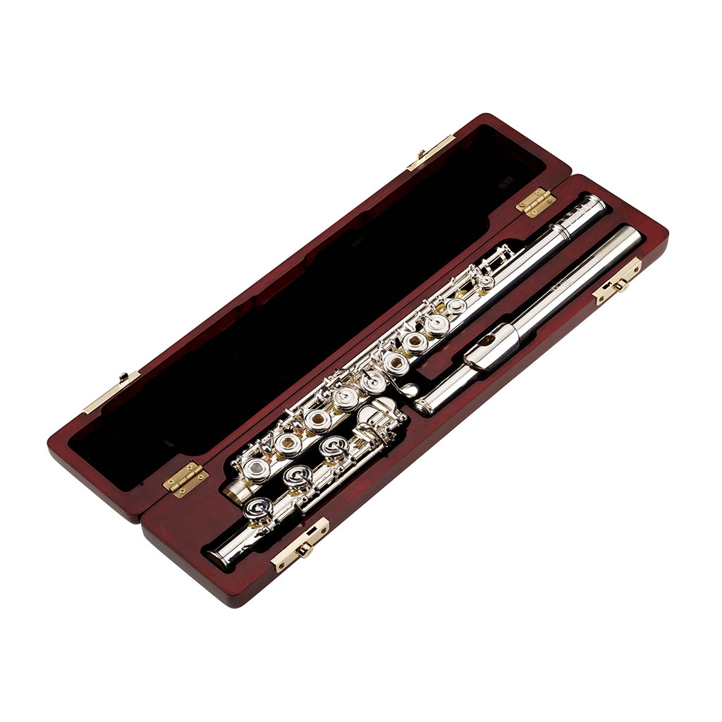Buy Di Zhao DZ700/801 Online at 2800 Flute World