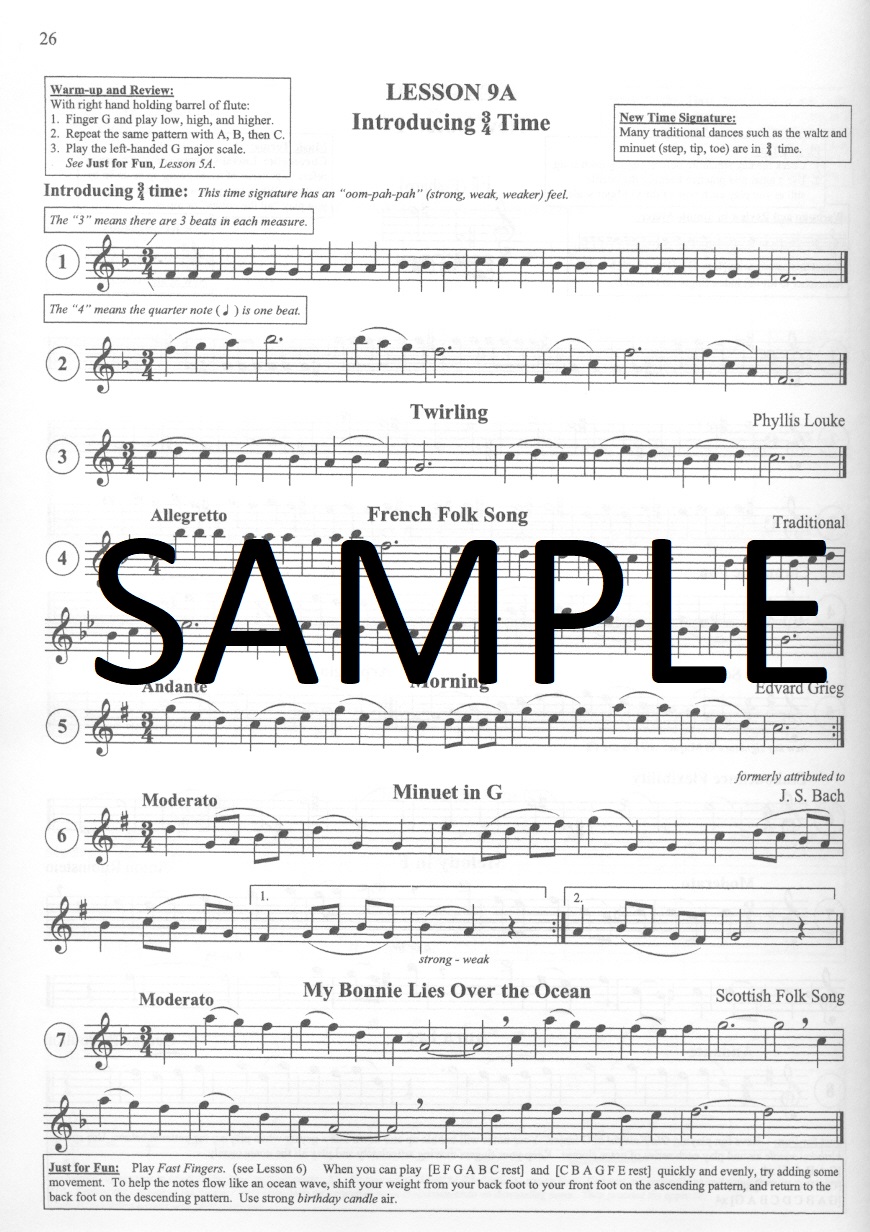 Buy Flute 101 Mastering the Basics Online at 20.69 Flute World