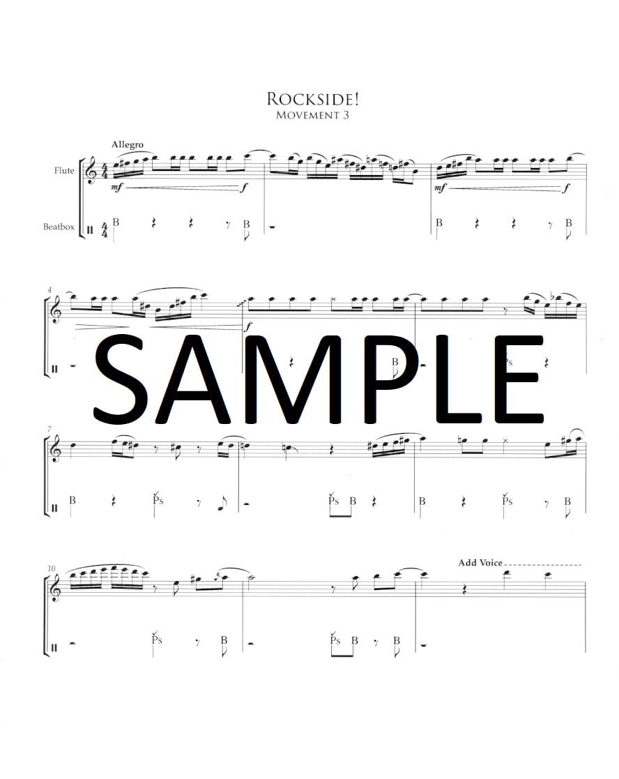 Buy Suite for Beatbox Flute, The Online at 15 Flute World