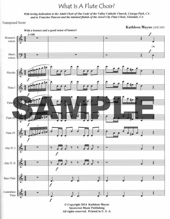 Buy What Is a Flute Choir? Online at 20 Flute World