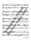 Aerial Music for Piccolo and Flute