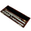 Altieri Wood Case - C Foot