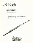 Andante from unaccompanied Violin Sonata #2 in a