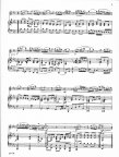Andante from unaccompanied Violin Sonata #2 in a