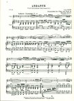 Andante from unaccompanied Violin Sonata #2 in a