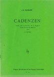 Cadenzas for Haydn Concerto in D