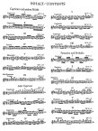 Caprices, Fantasies, und Stucke