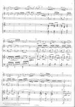 Concertino(fl,pf soloist,pf acct)