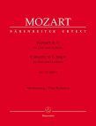 Concerto 1 in G (K313/285c)