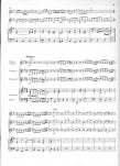 Concerto in G