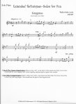Extended Techniques-Solos for Fun!