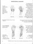 Finger Fitness: Art of Finger Control