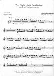 Flight of the Bumblebee (ed.Robbins)