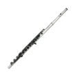 Guo New Voice Series Flute