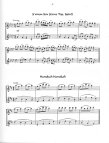 Hanukah Music for Two Flutes