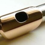 Lip Plate Lip Plate
