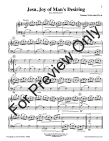 Music for Two (v.1) - Wedding Music and Classical Favorites