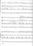 Noel Nouvelet: An Elaboration for Flute and Organ
