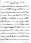 One Hundred Daily Exercises (Das Flotenbuch)