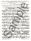 Op 88 Twenty Etudes Chantantes