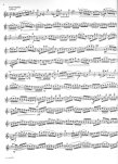 Partita in a (BWV1013) (ed. Moyse,M)