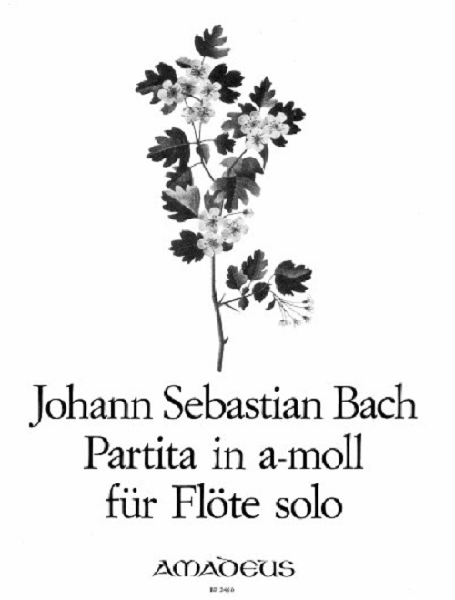 Partita in a (BWV1013) (ed.Teske)