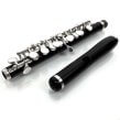 Powell Custom Grenadilla Piccolo