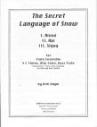 Secret Language of Snow