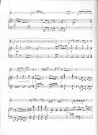 Small Sonata for a Large Flute