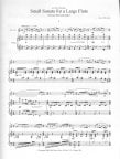 Small Sonata for a Large Flute