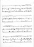 Small Sonata for a Large Flute
