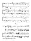 Sonata for Flute and Clarinet