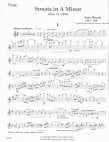 Sonata Op34 in a minor