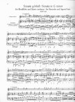 Sonatas (B01) (e,e,g,a,G,C,b,F,a,e,b)