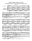 Sonatas (B01) (e,e,g,a,G,C,b,F,a,e,b)