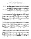 Sonatas (B01) (e,e,g,a,G,C,b,F,a,e,b)