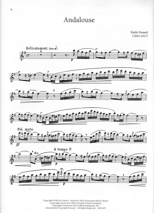 Buy Twenty-four Short Concert Pieces Online at $34.5 - Flute World