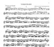 Variations on Airs & Themes of Haydn & Mozart