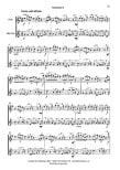 Wild Berries-Flute and Alto Flute Duets