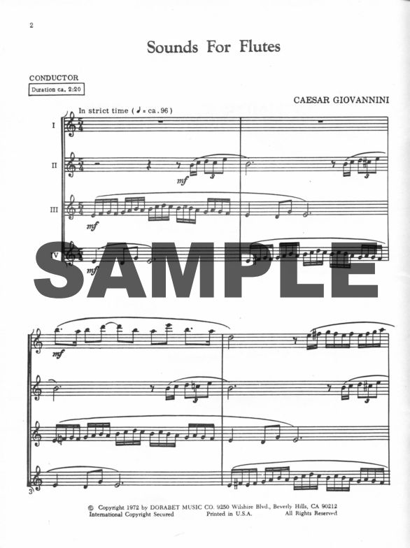 Buy Sounds for Flutes Online at 9 Flute World