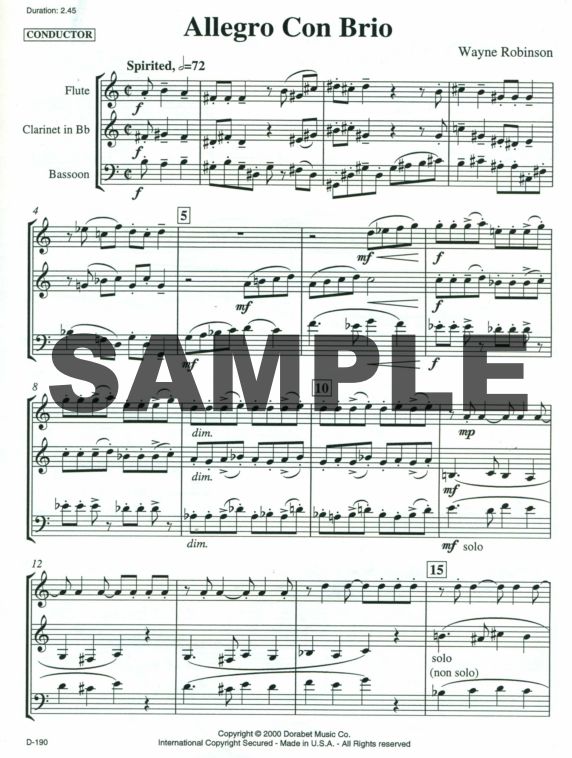 Buy Allegro Con Brio Online at 8 Flute World