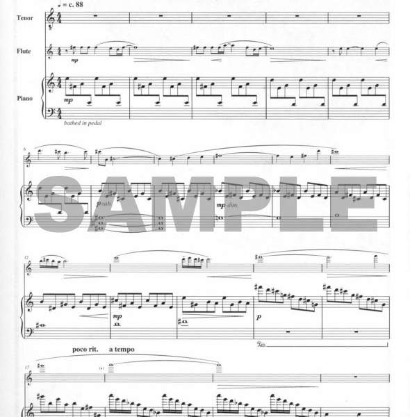 Shop Flute Voice With And Without Accompaniment 34 Online From Flute World