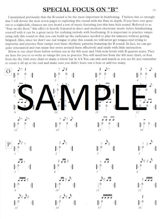 Buy Beatbox Flute Method Book (v.1) Online at 27.95 Flute World