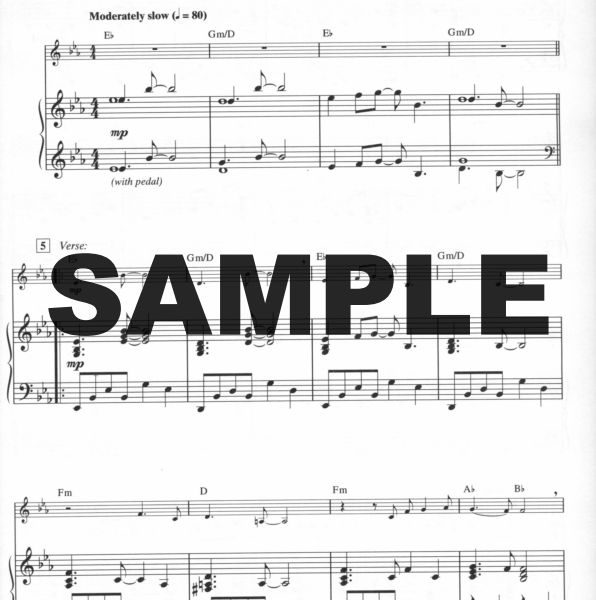 Buy Christmas Instrumental Solos Popular Christmas Songs Piano Accompaniment Book With Cd Online At 11 66 Flute World