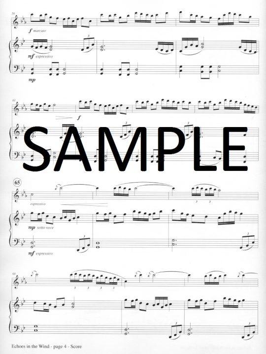 Buy Echoes in the Wind Online at 18 Flute World