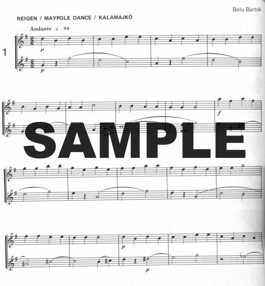 Buy Flute Guide Online at 31.45 Flute World