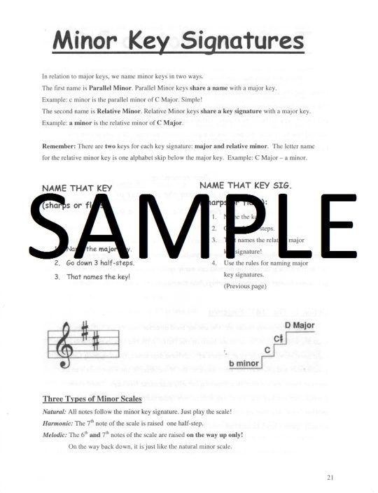 Buy Flute Lesson Handbook Online at 17.21 Flute World