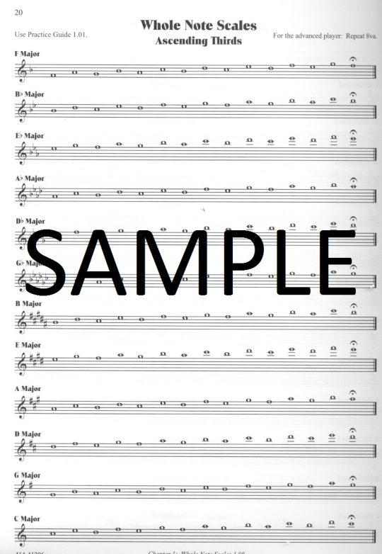 Buy Flute Scale Book A Path to Artistry Online at 31.99 Flute World