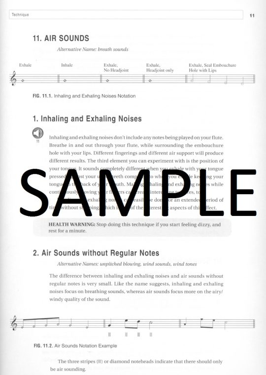 Buy Flute Sound Effects Online at 16.99 Flute World