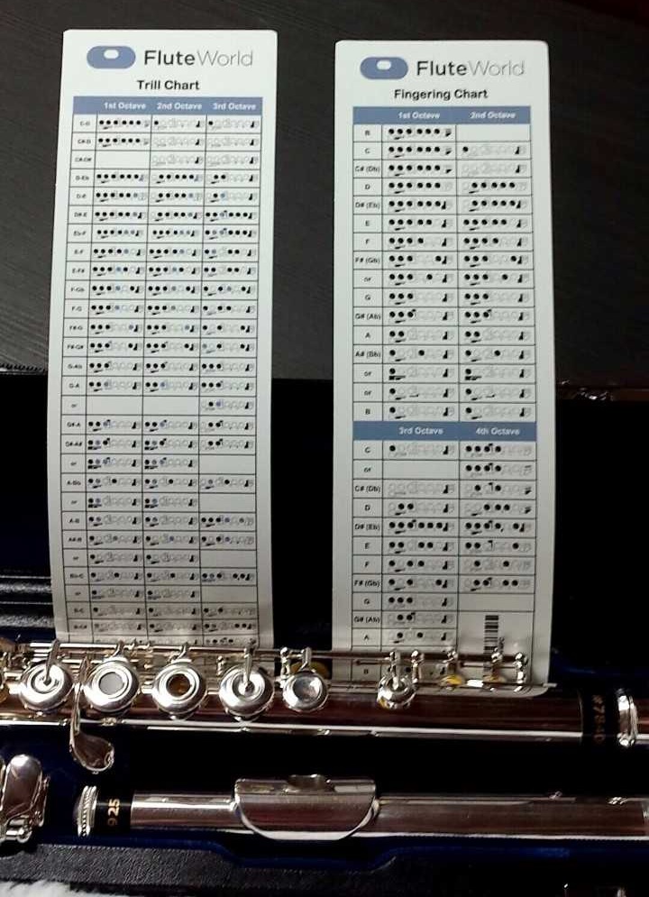 Buy FluteWorld Fingering Card Online at 5 Flute World